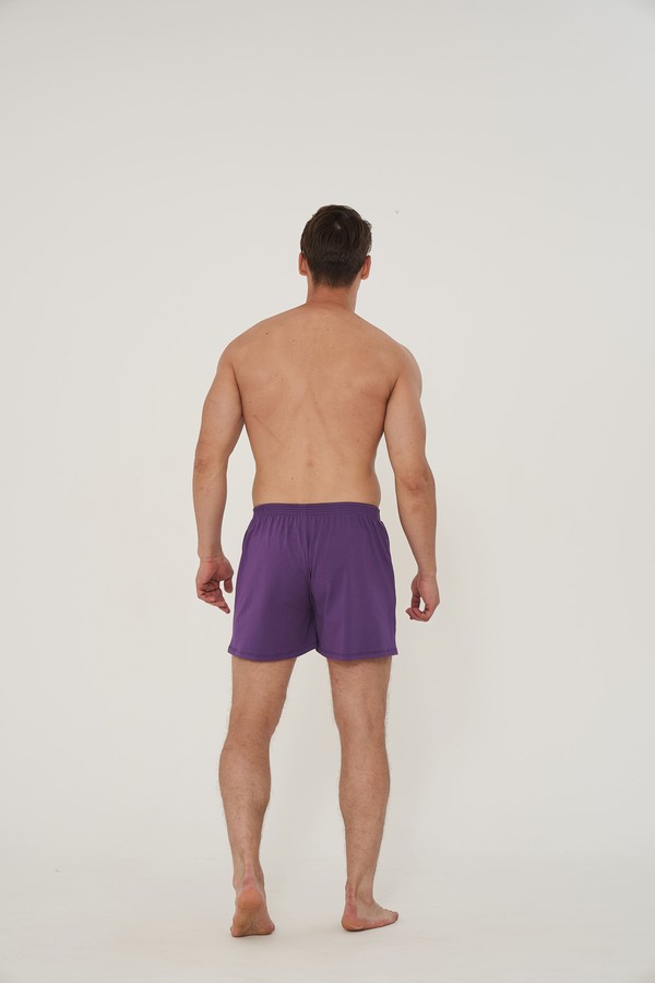 Boxer Shorts EL, Фиолетовый, S/M